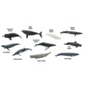 Wale Spielfiguren Set