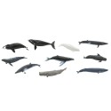 Wale Spielfiguren Set