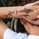 Kindertattoo Set Haie