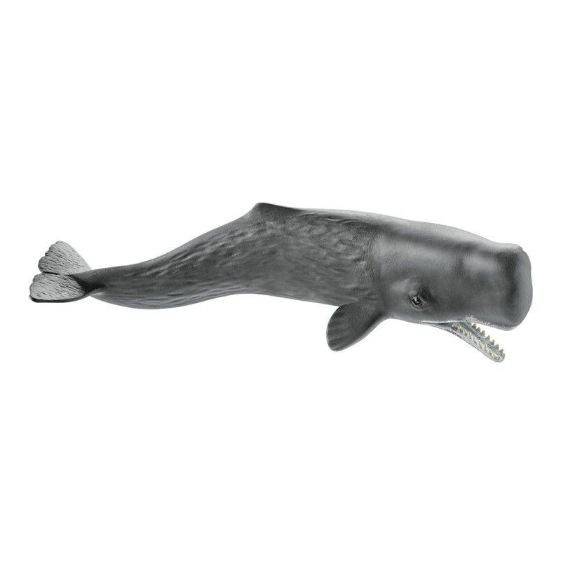 Schleich Tier Pottwal