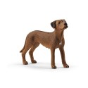 Schleich Tier Rhodesian Ridgeback