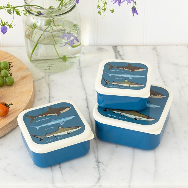 Znünibox Set Haie blau