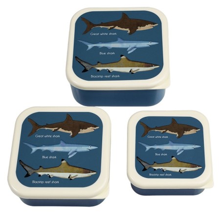 Znünibox Set Haie blau