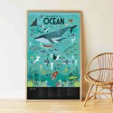 Sticker Poster Ozeane Meerestiere