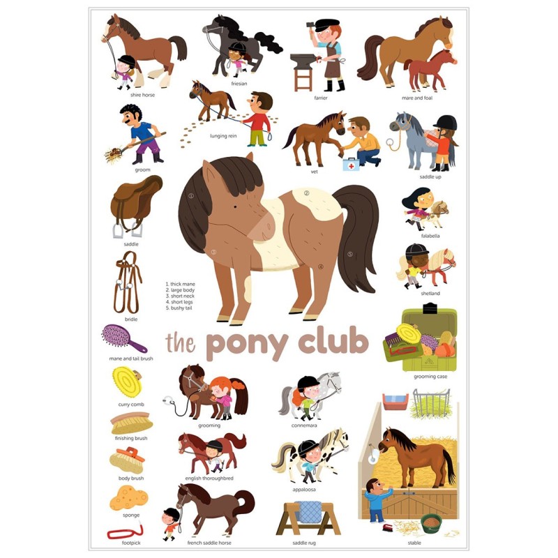 Sticker Mini Poster Pony Club
