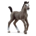 Schleich Pferd Cheval de Selle Francais Fohlen