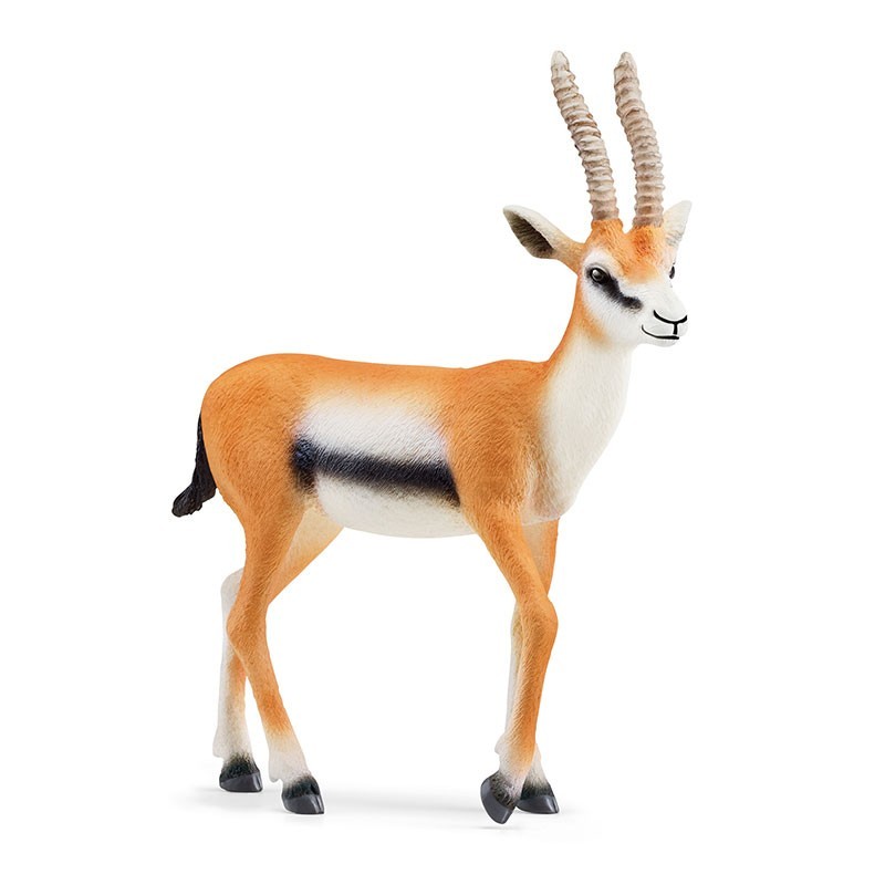 Schleich Tier Thomson Gazelle von Schleich