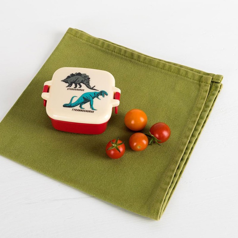 Znünibox Mini Dinosaurier Prehistoric Land