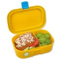 Znünibox Löwen bunt