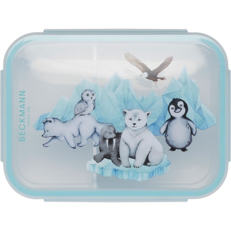 Znünibox Arktis von Beckmann