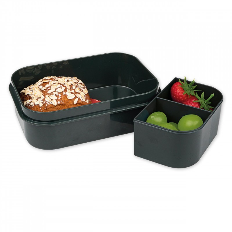 Znünibox Maxi T-Rex bunt