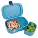 Znünibox Erdmännchen bunt