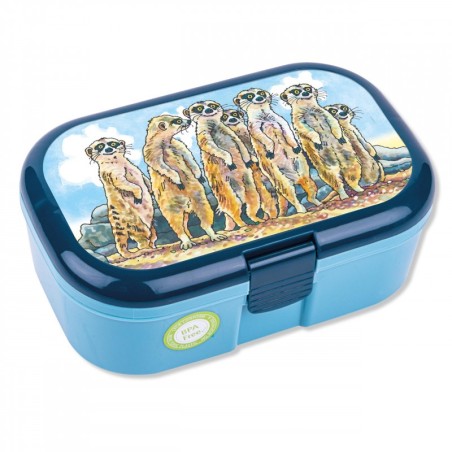 Znünibox Erdmännchen bunt