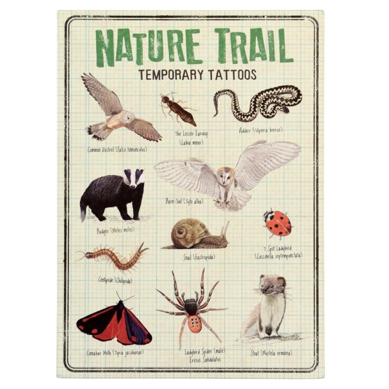 Kindertattoo Set Nature Trail