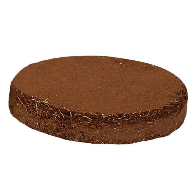 Anzuchtset Frühlingswiese