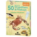 50 heimische Strandtiere & Pflanzen