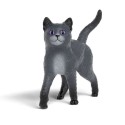 Kater Karajan von Die Schule der magische Tiere