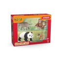 Schleich Tier Wild Life Asien Set