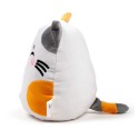 Squidglys Katze Lola