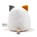 Squidglys Katze Lola