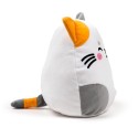 Squidglys Katze Lola