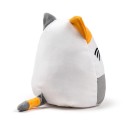 Squidglys Katze Lola
