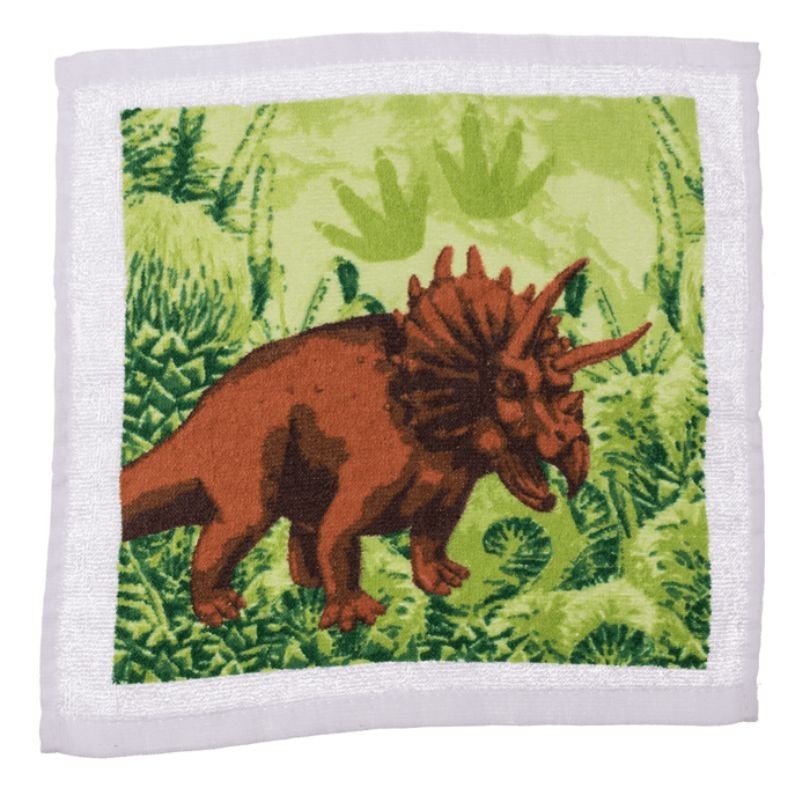 Waschlappen Zauberhandtuch Dino