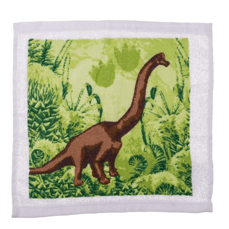 Waschlappen Zauberhandtuch Dino