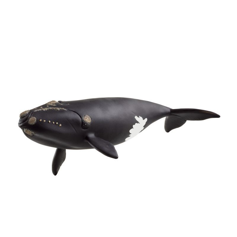 Schleich Tier Nordatlantischer Glattwal