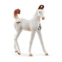 Schleich Pferd Marwari Fohlen