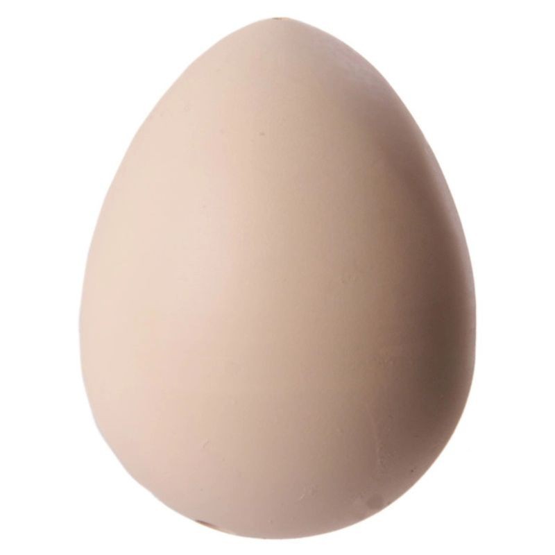 Schlüpfendes Küken aus dem Ei