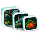 Znünibox Set Tierwelt bunt