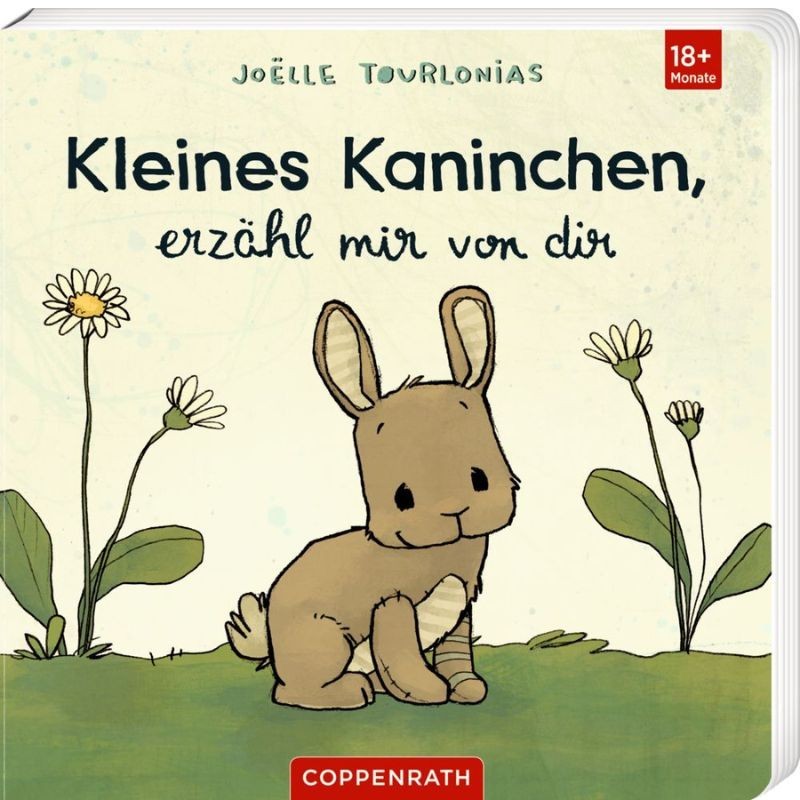 Kleines Kaninchen erzähl mir von dir