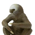 Zweifinger Faultier - Handbemalte Figur