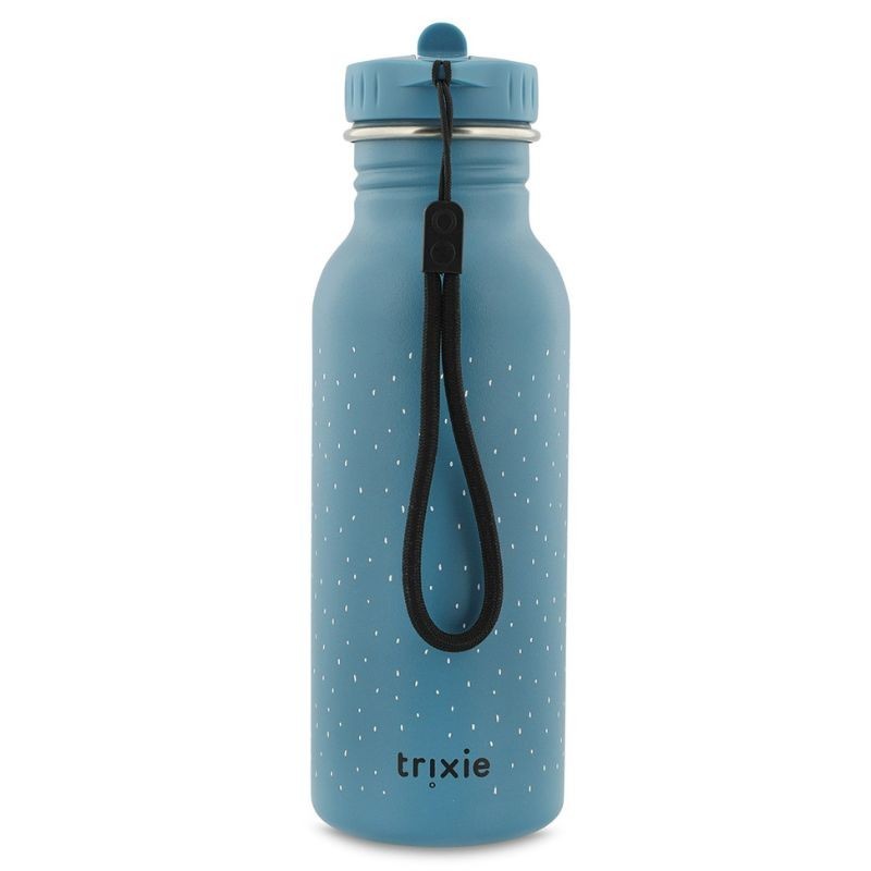 Trinkflasche Edelstahl Mr. Triceratops 500ml