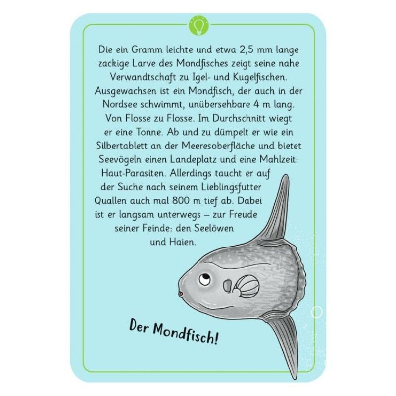 Expedition Natur Tierrätsel Meer und Strand