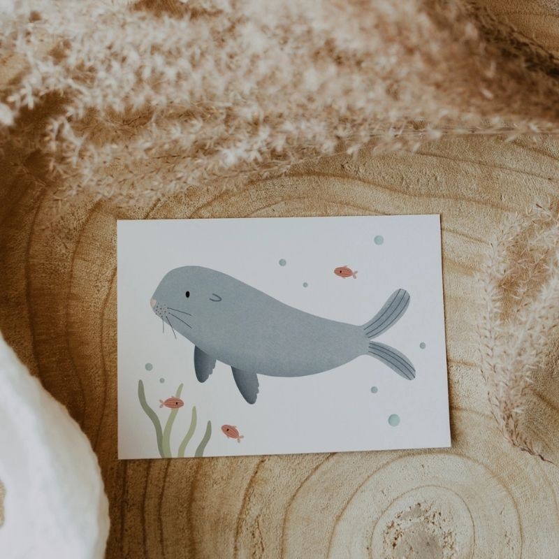 Postkarte Robbe
