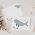 Postkarte Robbe