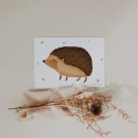 Postkarte Igel