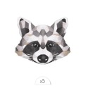 Kindertattoo Waschbär 5er Set