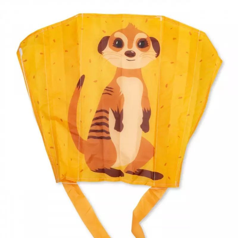 Taschendrache Erdmännchen
