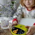 Znünibox SnackDISC Affe grün