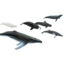 Wale Spielfiguren Set