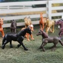 Pferde Spielfiguren Set mit 12 Figuren