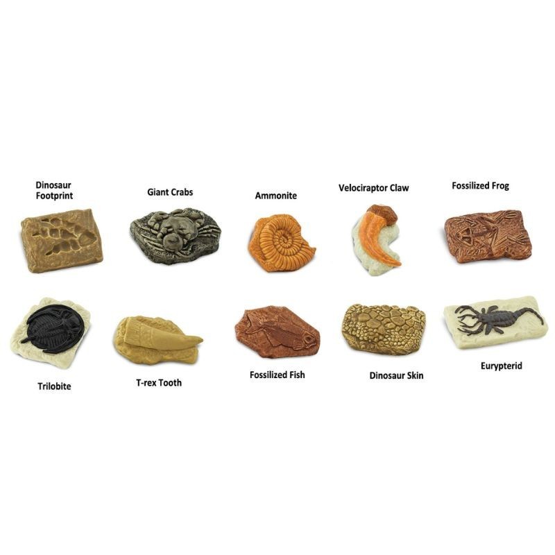 Fossilien Spielfiguren Set