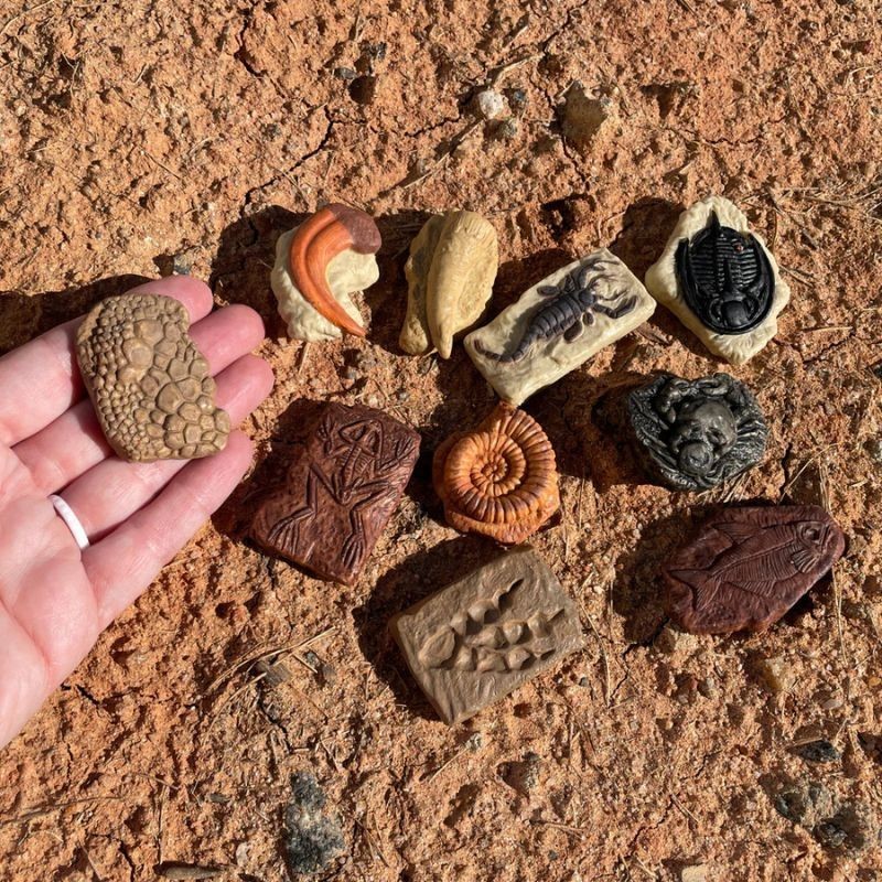 Fossilien Spielfiguren Set