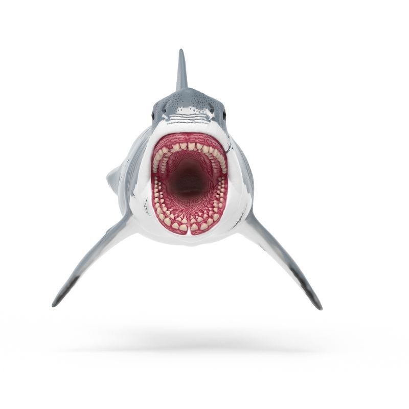 Schleich Dinosaurier Megalodon