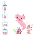 Schlüpfender Axolotl