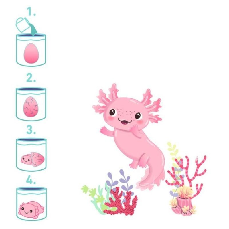 Schlüpfender Axolotl