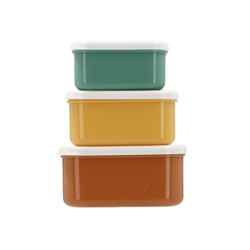Znünibox Set Savanne Löwe